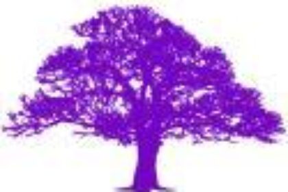 White-light-Events-Mind-Body-Spirit-Events-Chesterfield