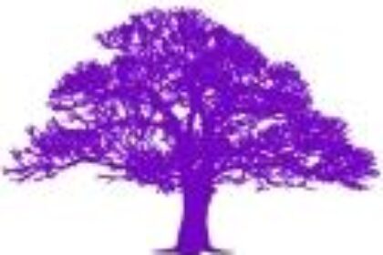 White-light-Events-Mind-Body-Spirit-Events-Matlock